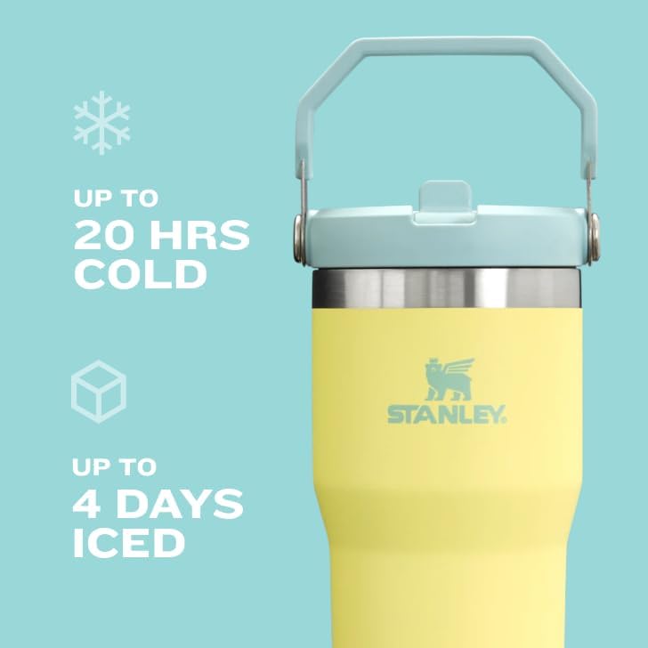 Stanley IceFlow 2.0 Flip Straw Tumbler with Handle 30 oz | Twist On Lid and Flip Up Straw | Leak Resistant Water Bottle | Insulated Stainless Steel | BPA-Free | Dried Pine